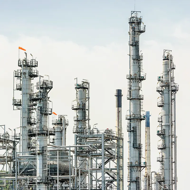 Chemical and petrochemical industry with acids and alkalis as an application for chemical strainers