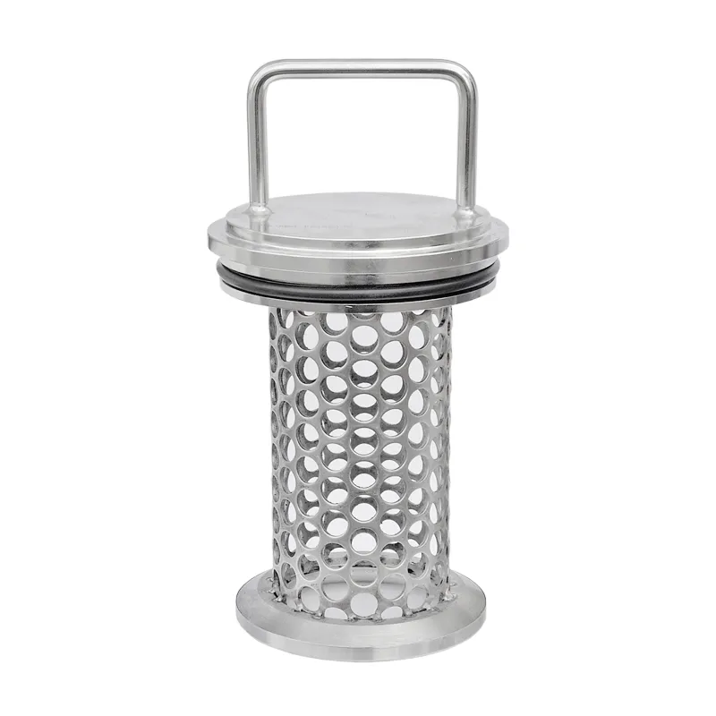 Angled screen in stainless steel perforated plate for Y strainers with matching gasket