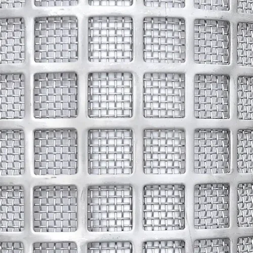 Stainless steel protective screen with 1 mm mesh size on a perforated plate support basket as strainer element